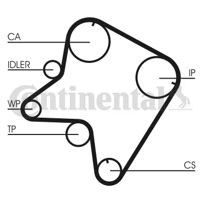 Timing Belt